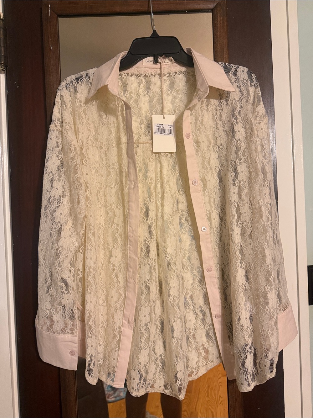 Grace Sheer Lace Button-Down Shirt in Cream and Pale Pink